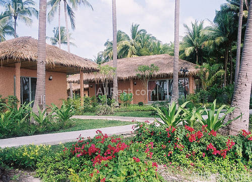 Amanda Resort 